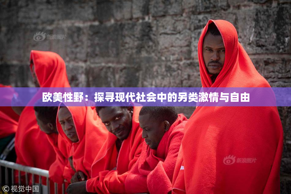 欧美性野：探寻现代社会中的另类激情与自由