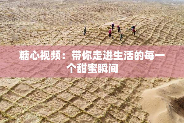 糖心视频：带你走进生活的每一个甜蜜瞬间