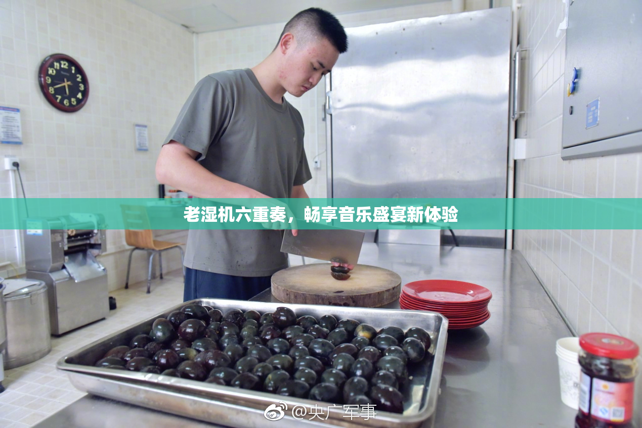 老湿机六重奏，畅享音乐盛宴新体验