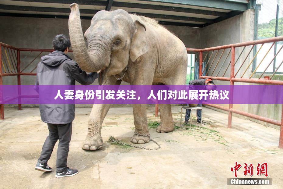人妻身份引发关注，人们对此展开热议