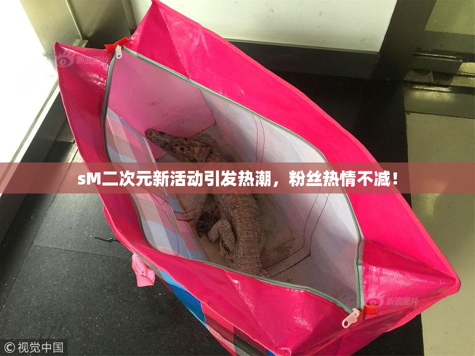 sM二次元新活动引发热潮，粉丝热情不减！