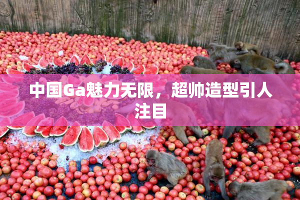 中国Ga魅力无限，超帅造型引人注目