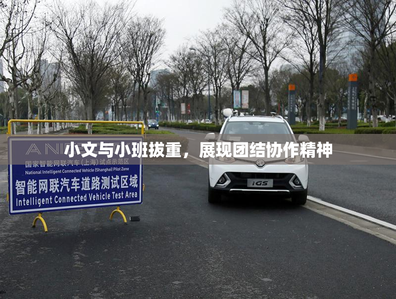 小文与小班拔重，展现团结协作精神