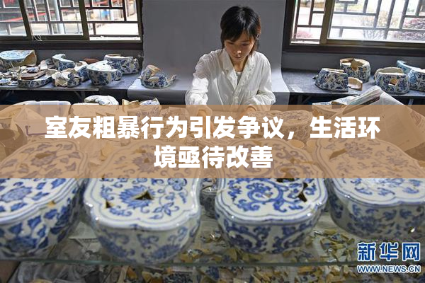 室友粗暴行为引发争议，生活环境亟待改善