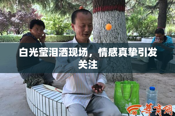 白光莹泪洒现场，情感真挚引发关注