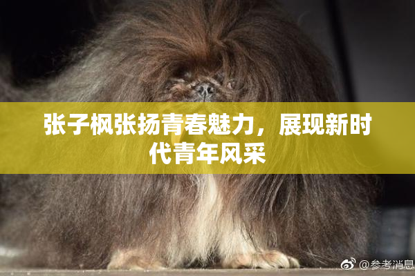 张子枫张扬青春魅力，展现新时代青年风采