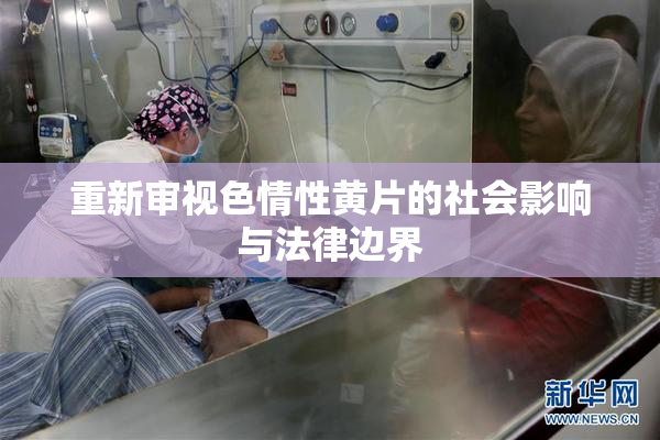 重新审视色情性黄片的社会影响与法律边界