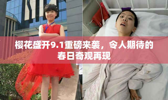 樱花盛开9.1重磅来袭，令人期待的春日奇观再现
