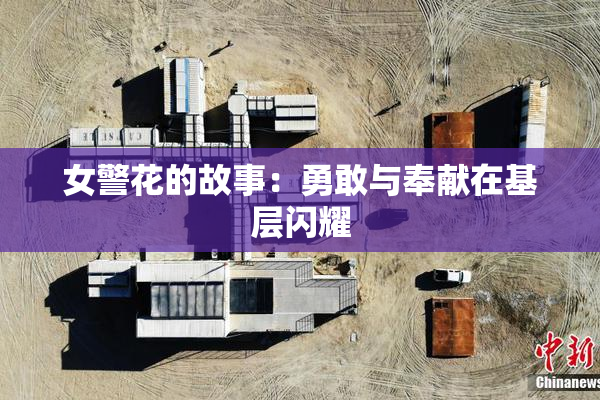 女警花的故事：勇敢与奉献在基层闪耀