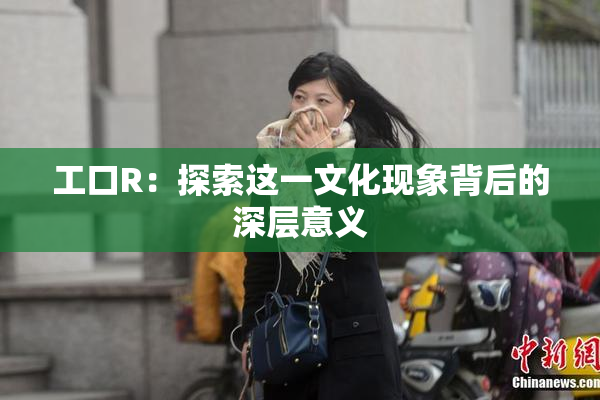 工口R：探索这一文化现象背后的深层意义