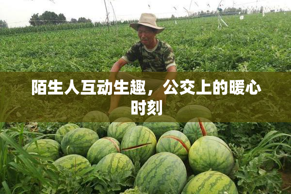陌生人互动生趣，公交上的暖心时刻