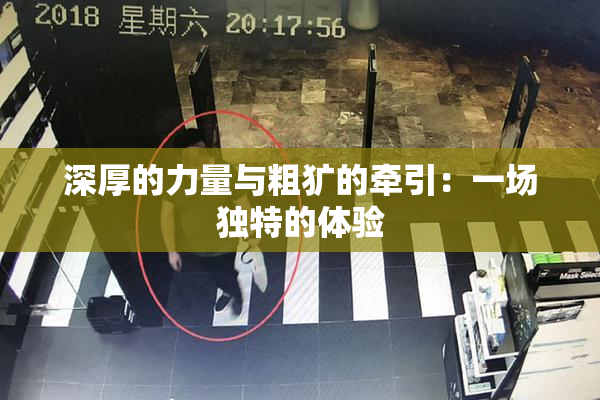 深厚的力量与粗犷的牵引：一场独特的体验