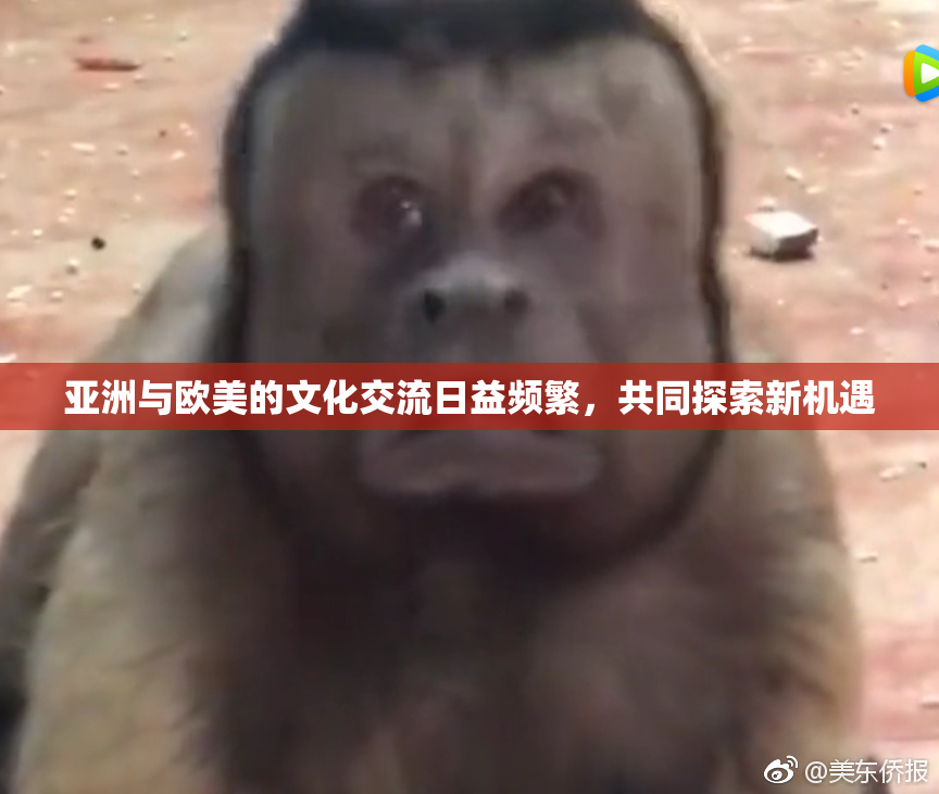 亚洲与欧美的文化交流日益频繁，共同探索新机遇
