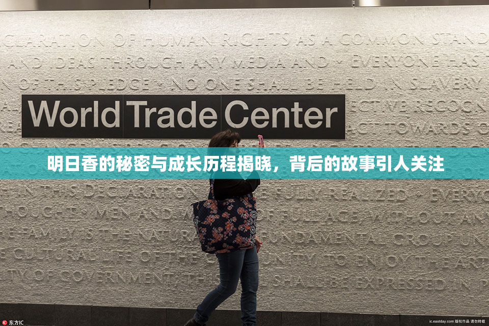 明日香的秘密与成长历程揭晓，背后的故事引人关注