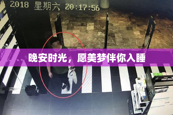晚安时光，愿美梦伴你入睡
