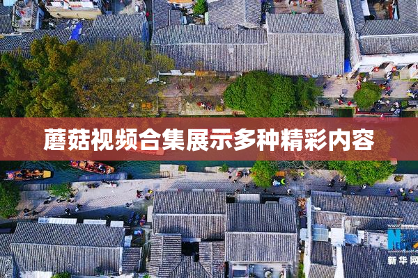 蘑菇视频合集展示多种精彩内容