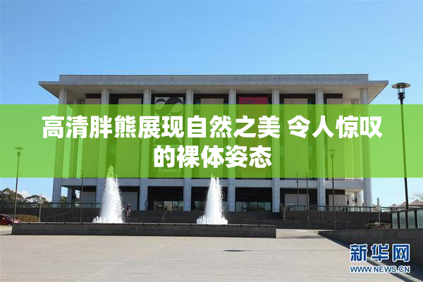 高清胖熊展现自然之美 令人惊叹的裸体姿态