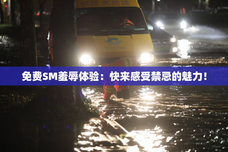 免费SM羞辱体验：快来感受禁忌的魅力！