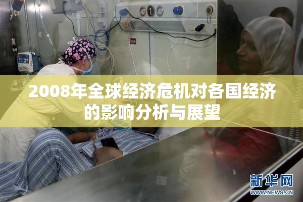 2008年全球经济危机对各国经济的影响分析与展望