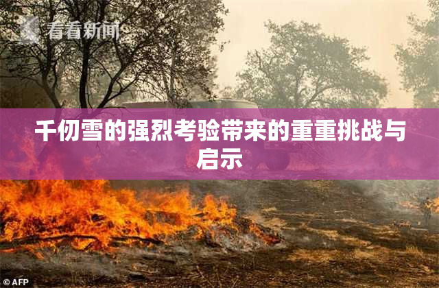 千仞雪的强烈考验带来的重重挑战与启示