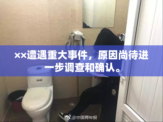 ××遭遇重大事件，原因尚待进一步调查和确认。
