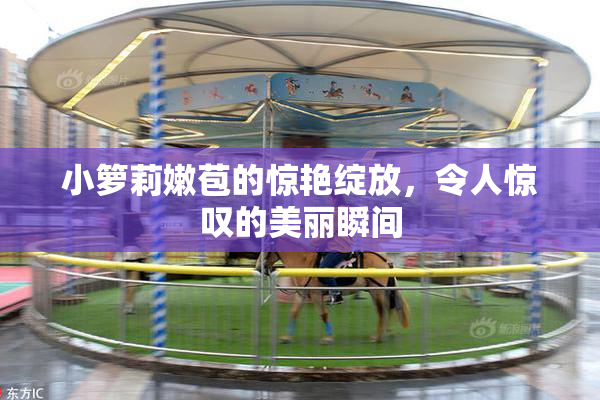 小箩莉嫩苞的惊艳绽放，令人惊叹的美丽瞬间