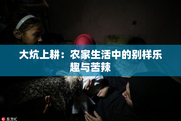 大炕上耕：农家生活中的别样乐趣与苦辣
