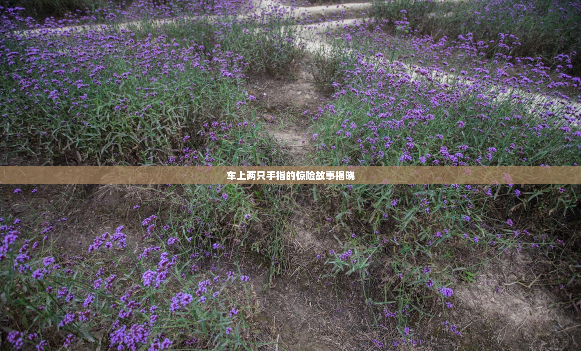 车上两只手指的惊险故事揭晓