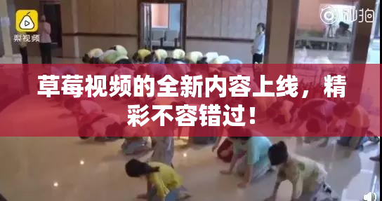 草莓视频的全新内容上线，精彩不容错过！