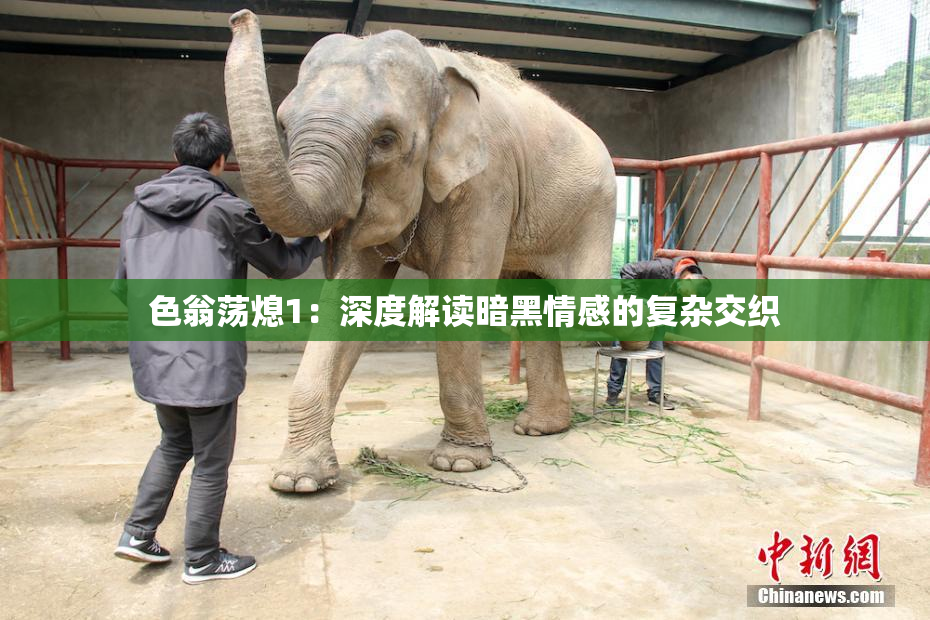 色翁荡熄1：深度解读暗黑情感的复杂交织