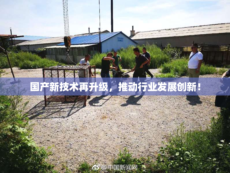 国产新技术再升级，推动行业发展创新！
