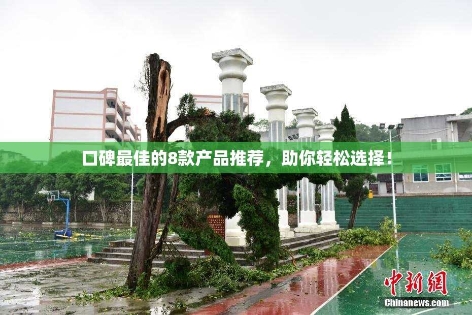 口碑最佳的8款产品推荐，助你轻松选择！