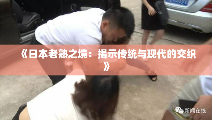 《日本老熟之境：揭示传统与现代的交织》