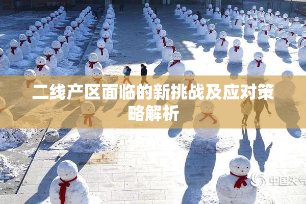 二线产区面临的新挑战及应对策略解析