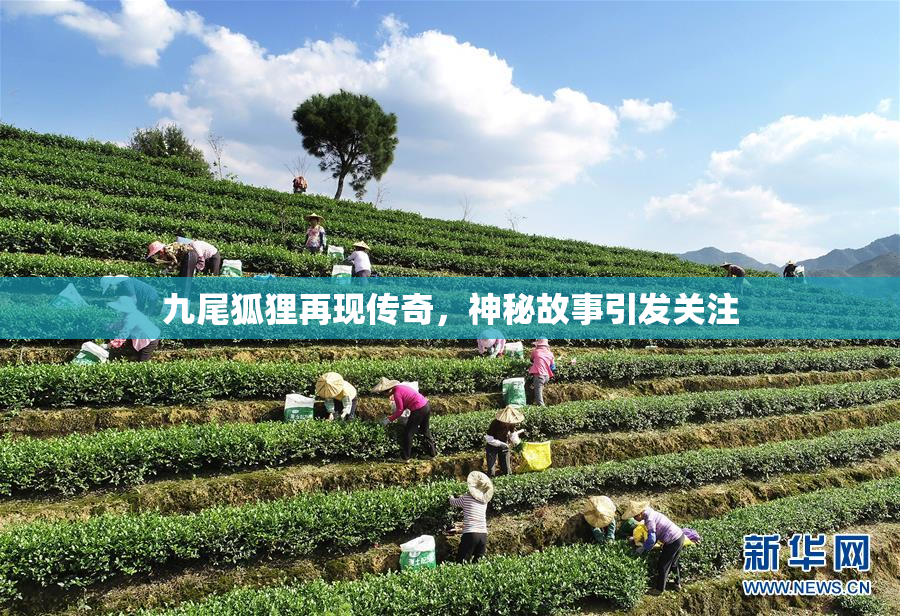 九尾狐狸再现传奇，神秘故事引发关注