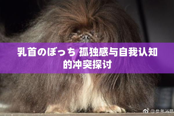 乳首のぼっち 孤独感与自我认知的冲突探讨