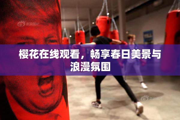 樱花在线观看，畅享春日美景与浪漫氛围