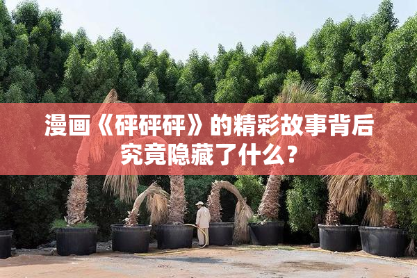 漫画《砰砰砰》的精彩故事背后究竟隐藏了什么？