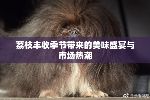 荔枝丰收季节带来的美味盛宴与市场热潮
