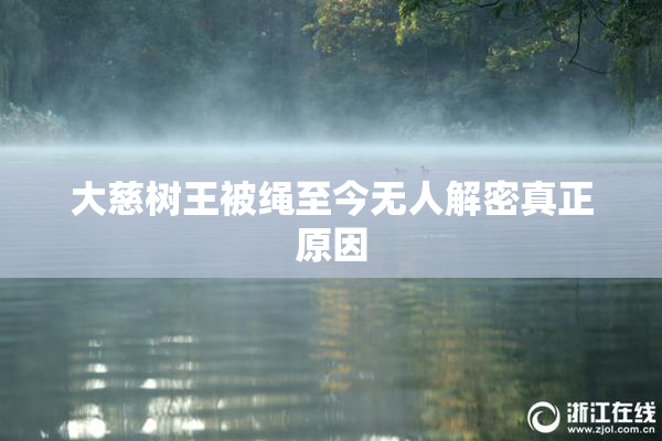 大慈树王被绳至今无人解密真正原因