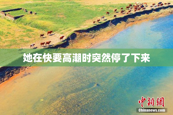 她在快要高潮时突然停了下来
