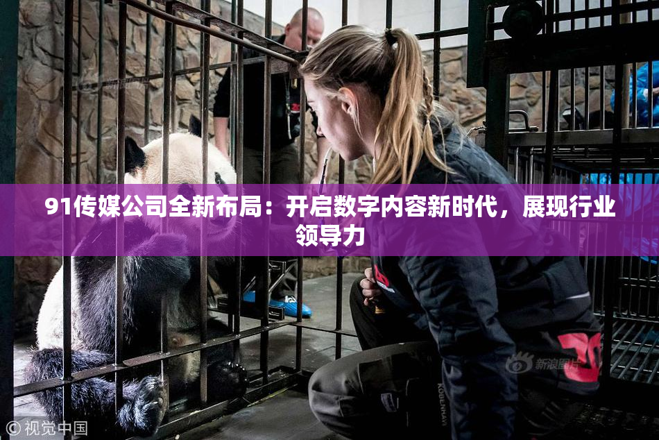 91传媒公司全新布局：开启数字内容新时代，展现行业领导力