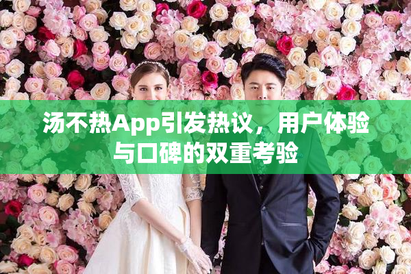 汤不热App引发热议，用户体验与口碑的双重考验