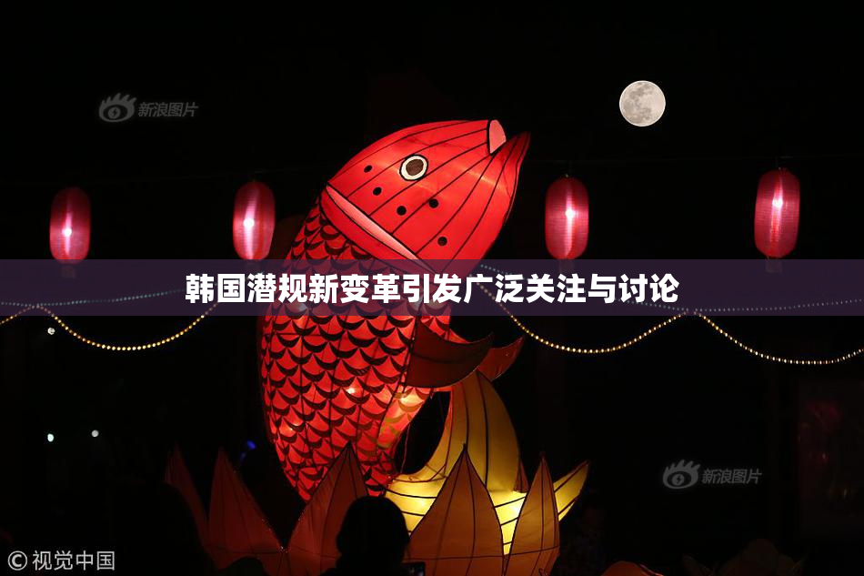 韩国潜规新变革引发广泛关注与讨论