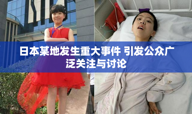 日本某地发生重大事件 引发公众广泛关注与讨论