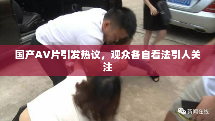 国产AV片引发热议，观众各自看法引人关注