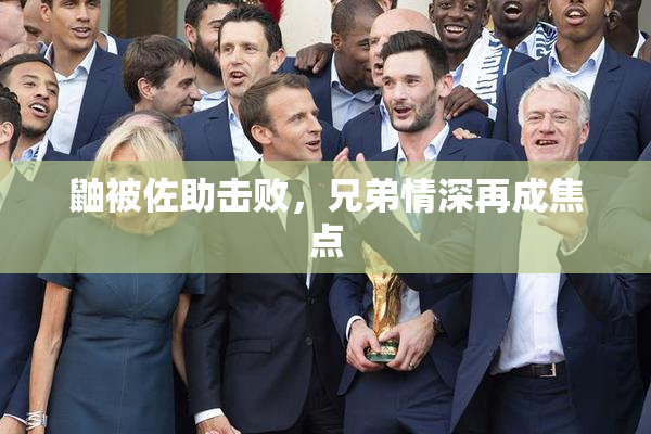 鼬被佐助击败，兄弟情深再成焦点