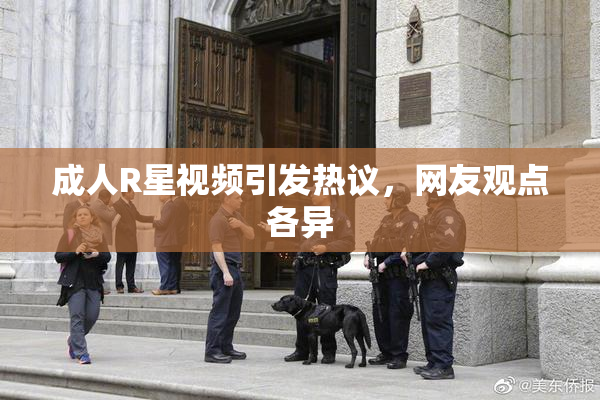 成人R星视频引发热议，网友观点各异