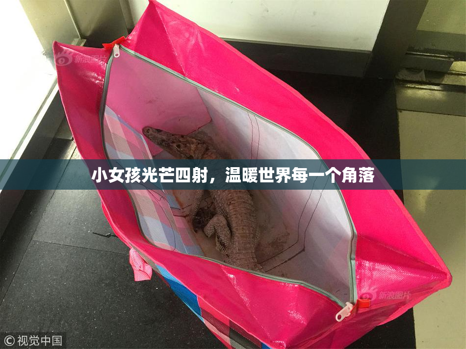 小女孩光芒四射，温暖世界每一个角落