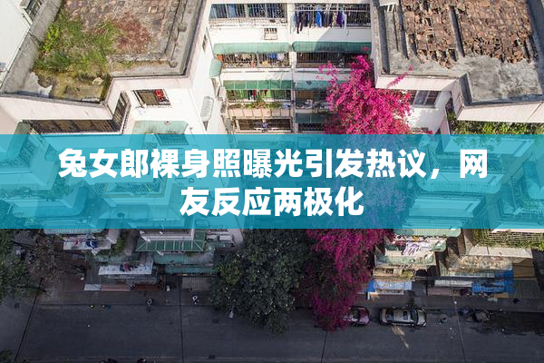 兔女郎裸身照曝光引发热议，网友反应两极化